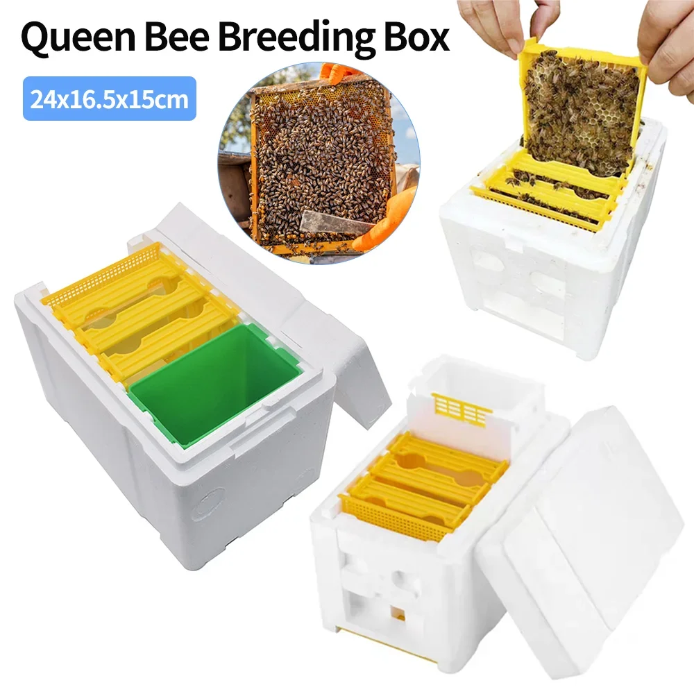 Queen Bee Breeding Box Foam Bee Box Pollination Queen Rearing Beehive Beekeeping Equipment for Mating Rearing