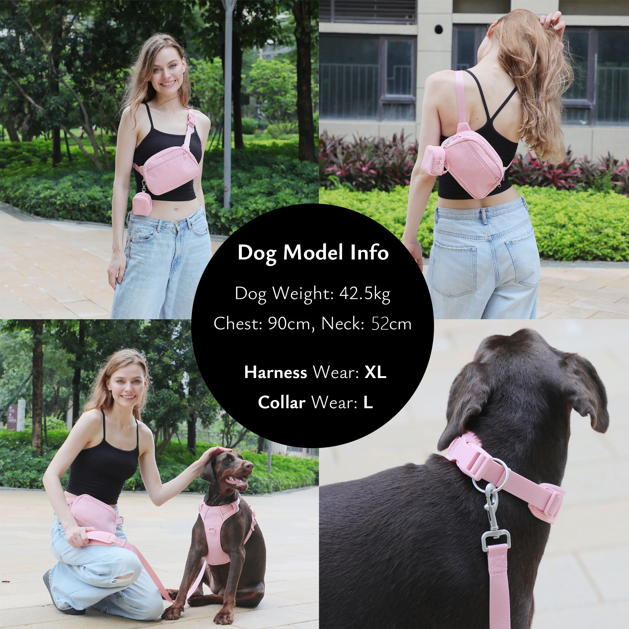 Personalized Dog Harness Set Luxury Designer Dog Collar Leash Poop Bag with Walking Bag Reflective No Pull Harness Vest