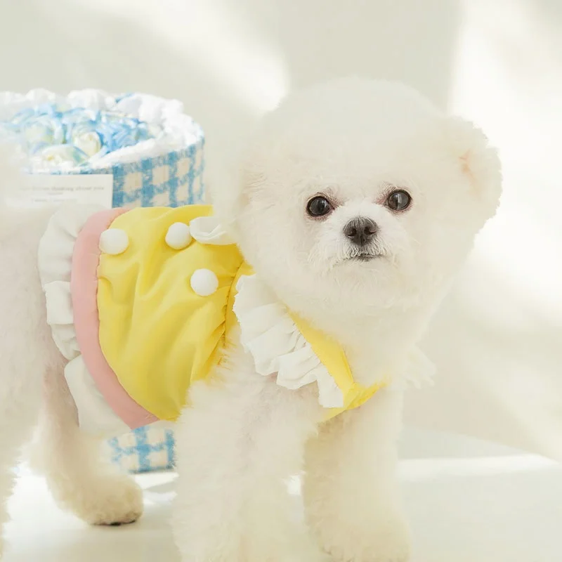 Summer Princess Dog Dress 8