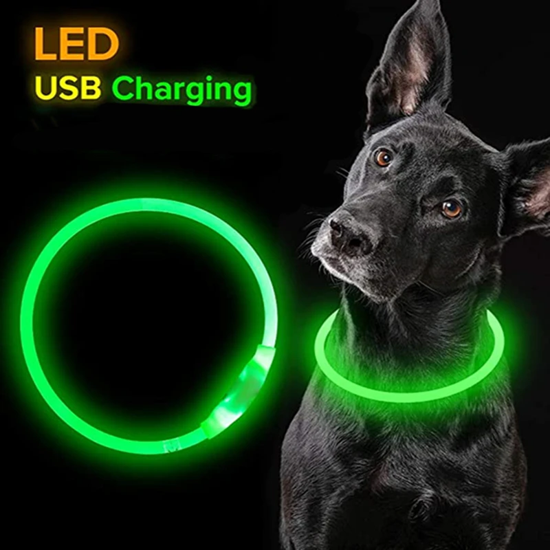 Collar Led luminoso para perro y gato, luz Led brillante de 3 modos,  prevención de pérdida, accesorios para mascotas - AliExpress