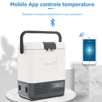 Alpicool 8L Portable Mini Freezer Car Refrigerator Compressor Cooler Small Fridge 12V/24V for Outdoors Caravan Camping Ice Box 2