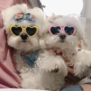 Gafas con forma de corazón para mascotas