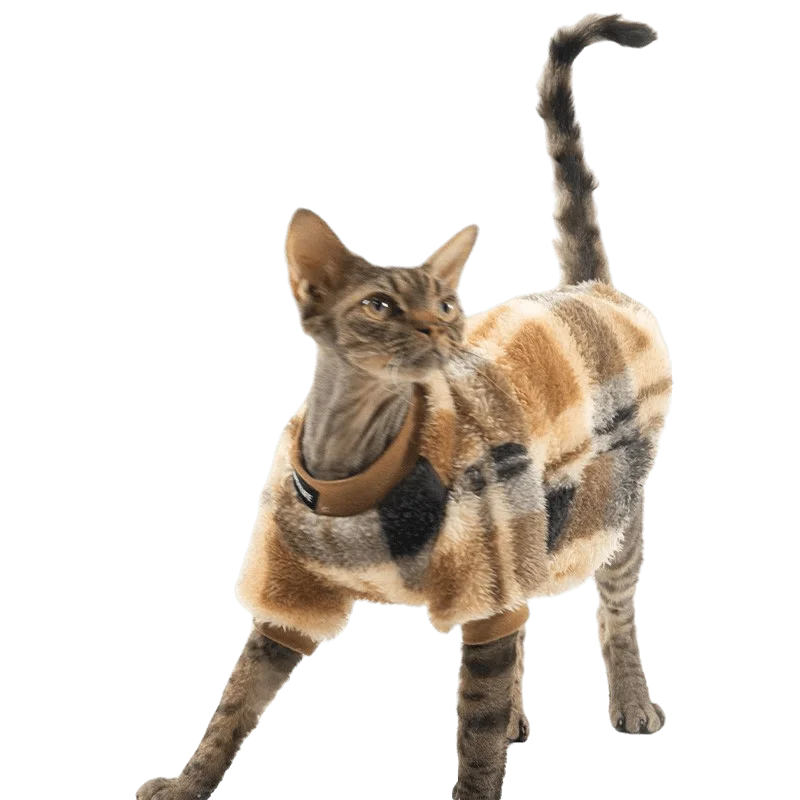 HairlessCatClothesSphynxDevonRexCostumeKittenDoublesided