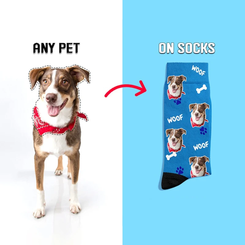 pet pic socks