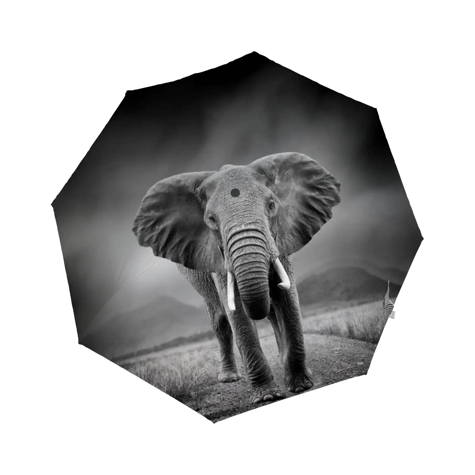 

Elephant Animal Black Windproof Travel Umbrellas Tropical Wildlife Folding Rain Umbrella Compact Lightweight for Teens Adult Men