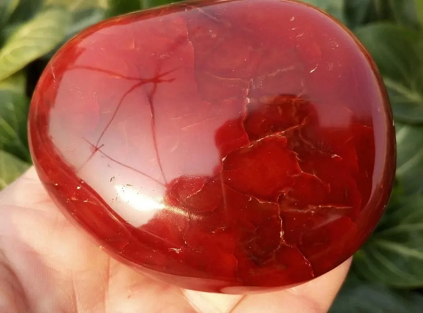 

top!!!Natural Red Carnelian Geode Crystal Quartz Agate Polished Specimen