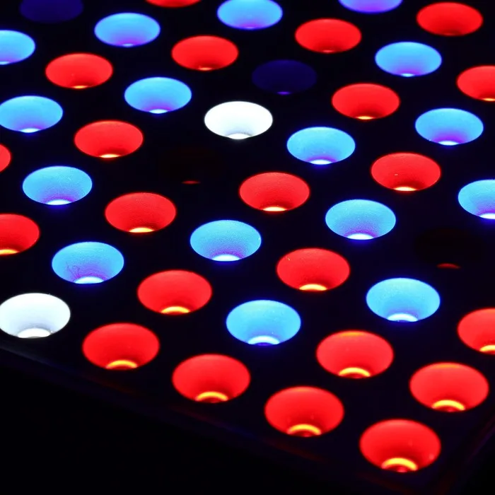 Рисунок 3 - Фитосветильник светодиодный