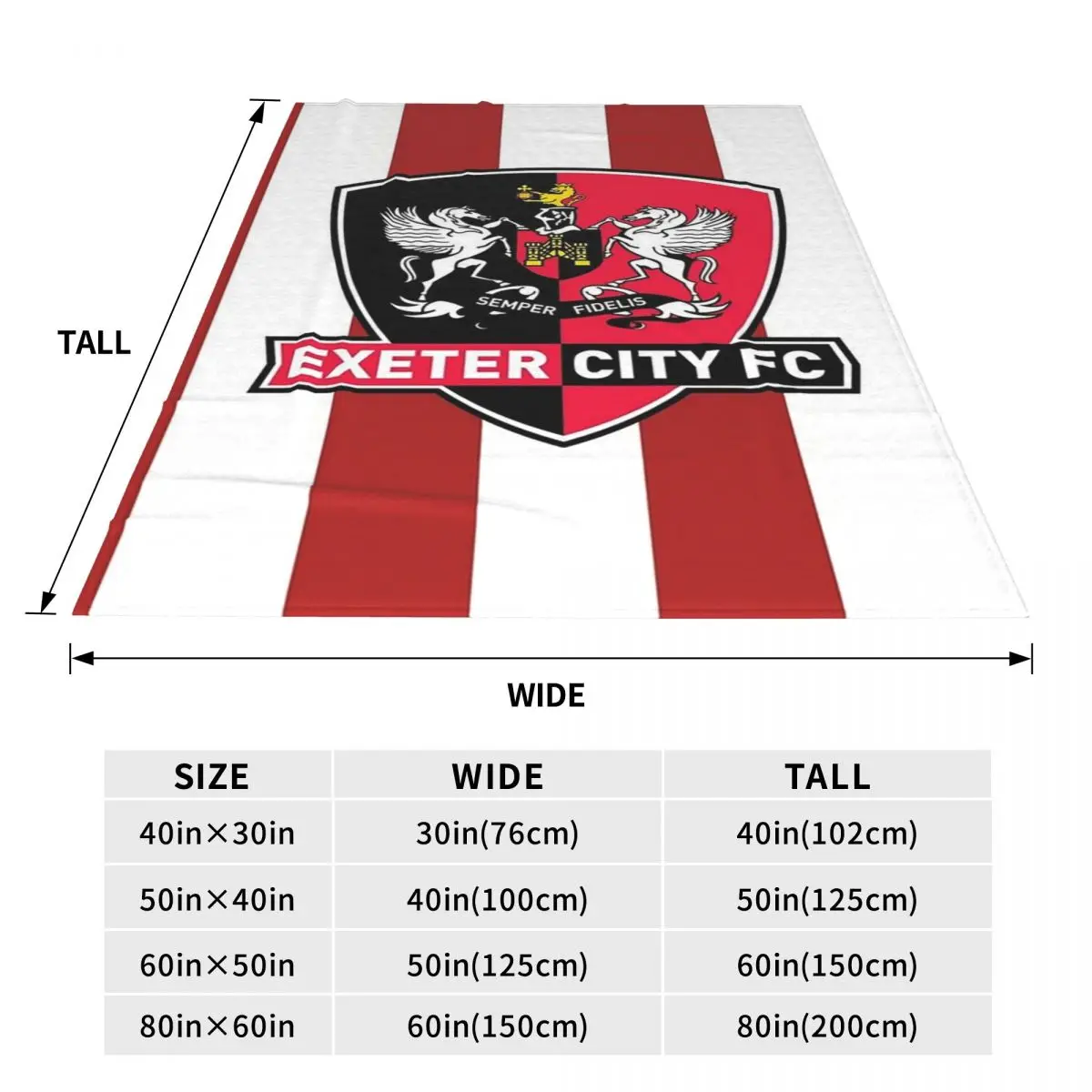 Exeter City FC Blankets Fleece Warm Throw Blankets Sofa Throw Blanket For Home Bedroom Travel Throws Bedspread Quilt 3
