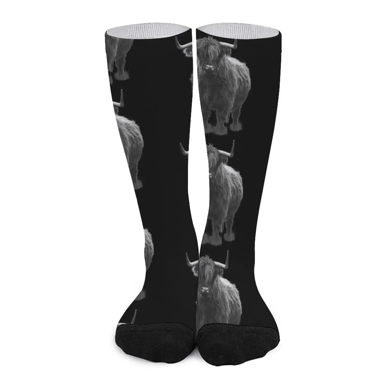 Galloway cow Socks funny socks men snow Socks Women socks man