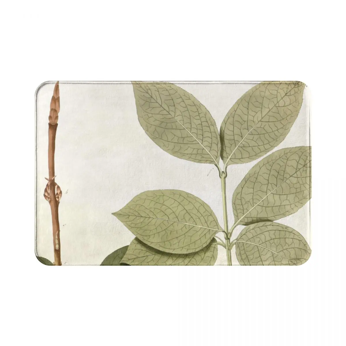 

European And American Plants And Flowers Illustration Doormat Rug carpet Mat Footpad Anti-slipEntrance Kitchen Bedroom balcony