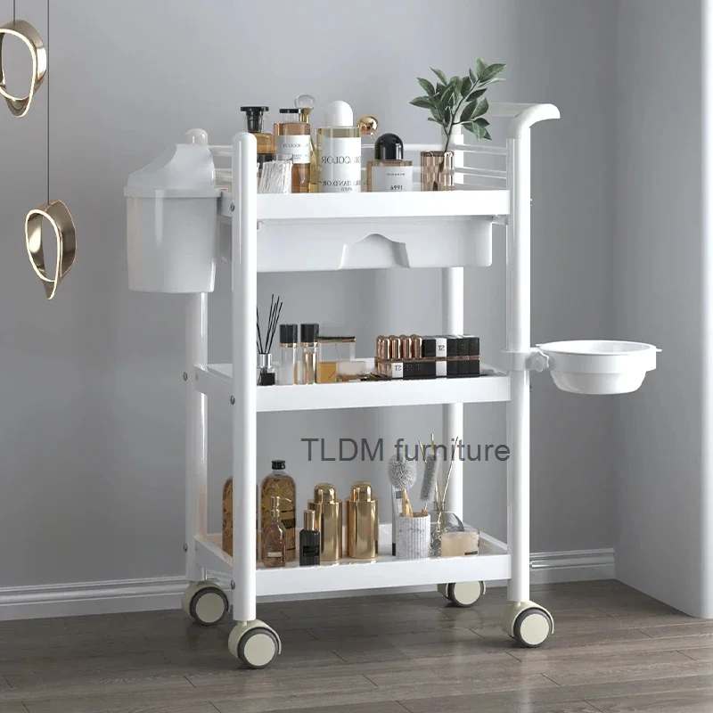 Simple Wrought Iron Salon Trolleys Multi-layer Rack Modern Salon Furniture Beauty Salon Creative Household Trolley with Wheels