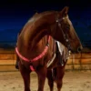 3Pcs LED Horse Ride Set Legs Chest Tails Straps Horsing Riding Luminous Equestrian Suits Night Lights Visible Horse Equestrian 5