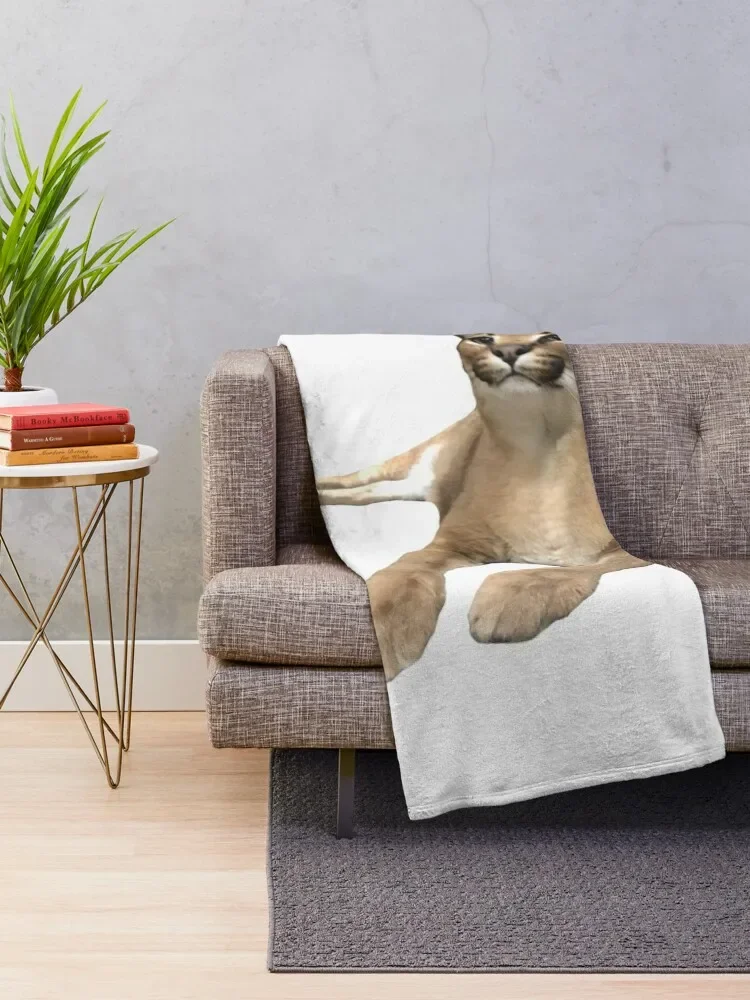 ���� �÷��� ������ ���, ǫ���ϰ� ���� ��� ����, ���� ���