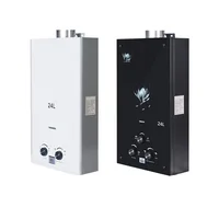 Spot Goods 24L Balanced Type Natural Gas Water Heaters Azerbaijan Armenia Georgia Hot Sale Instant Water Heaters 1