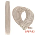 SP87-12