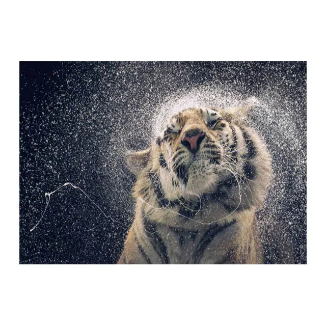 Tigre em PRINTS - Animais - Animais 2 120 X 90 CM – urbanarts