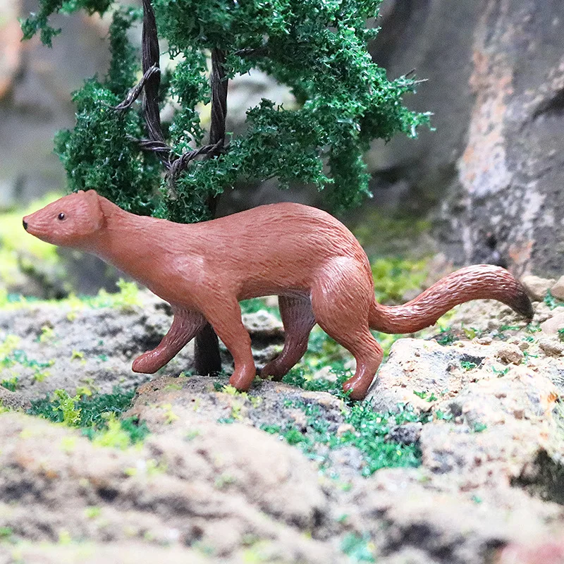 Children's Science Education Cognitive Toys Simulation Animal World Weasel Maned Wolf Model Early Childhood Enlightenment Aids