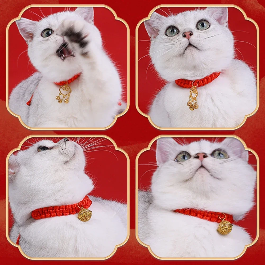 Lucky Red Rope Braided Collar - Adjustable Traditional Blessing