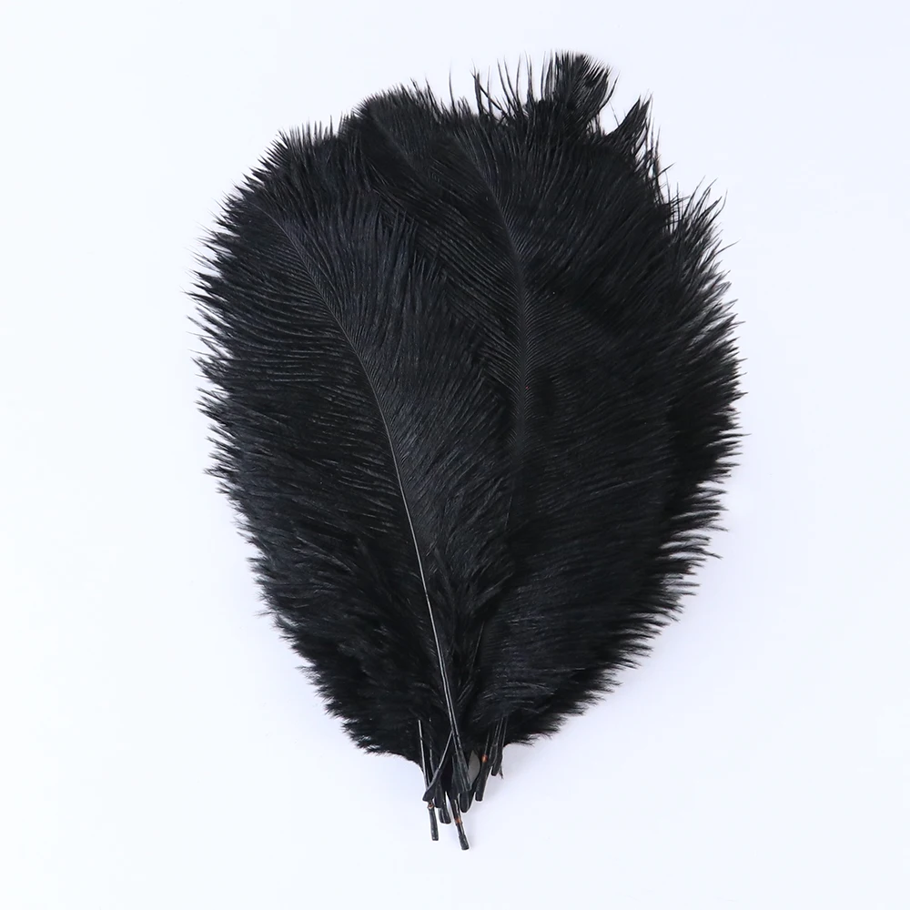 Ostrich Feathers, Craft Feathers, Natural Feathers, 10Pcs Ostrich Feathers for Handicraft