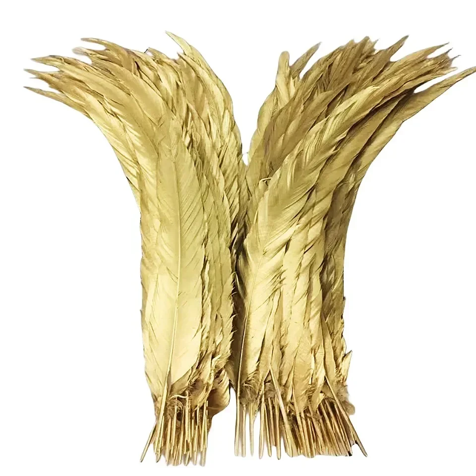 

Silver Chicken Feathers Golden 40-70 Cm/16-28Inche Lady Amherst Pheasant Feathers for Crafts Stage Performance Decoration Plume