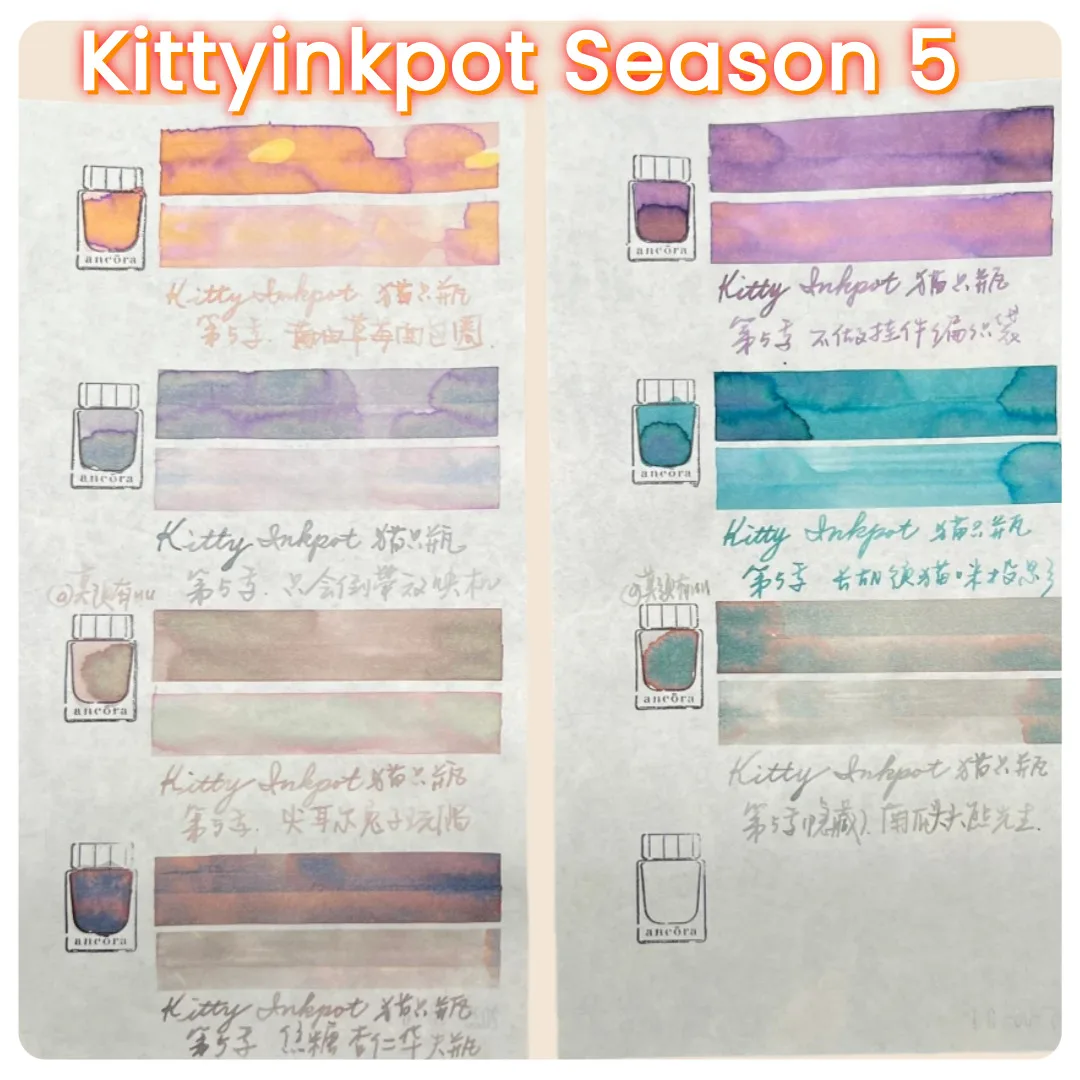 KittyInkpot 잉크, 시즌 5 ALL IN, 그라데이션 크로마토그래피 쉰 크로모쉐이딩 잉크 5ml/ 35ml