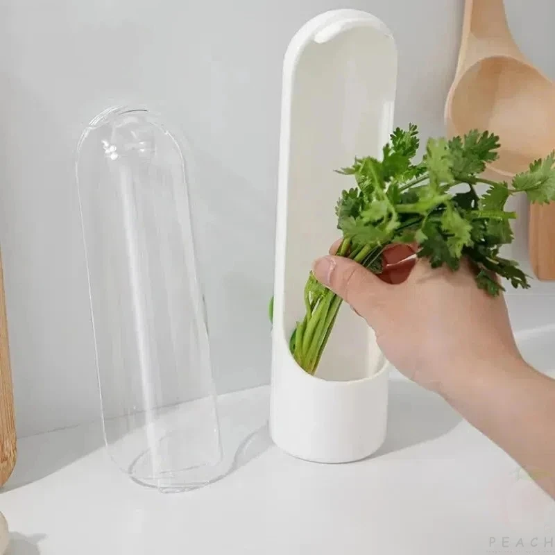 Vegetable/ Herb Fresh-Keeping Box 2