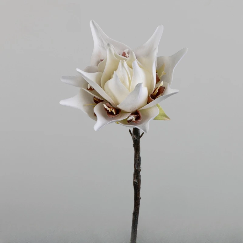10 Stück Realistische Weiße Alocasia Simulationsblumen Künstliche Cattaro King Protea DIY Fotografie-Requisite Kunstblumen Café-Dekoration