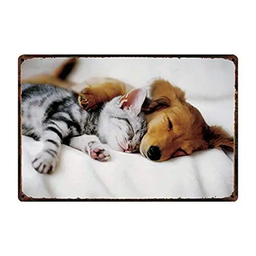 

Vintage Metal Sign Tin Sign Cute Cat Dog Animals Home Bar Club Pub Wall Decor Signs 12x8inch