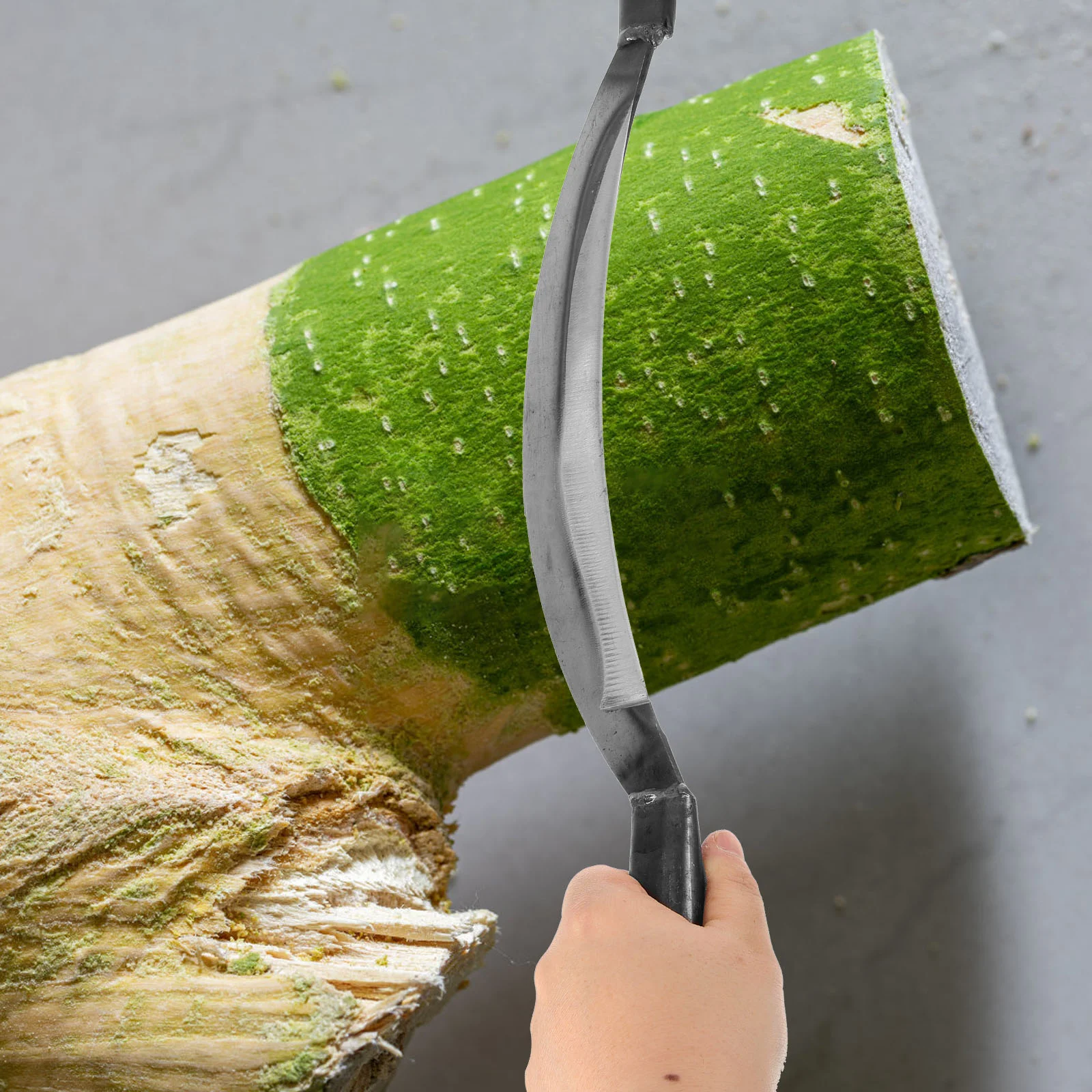 Bark Debarking Scraper Anti-skid Handle Log Scraper Gardening Bark Removal Tool 2