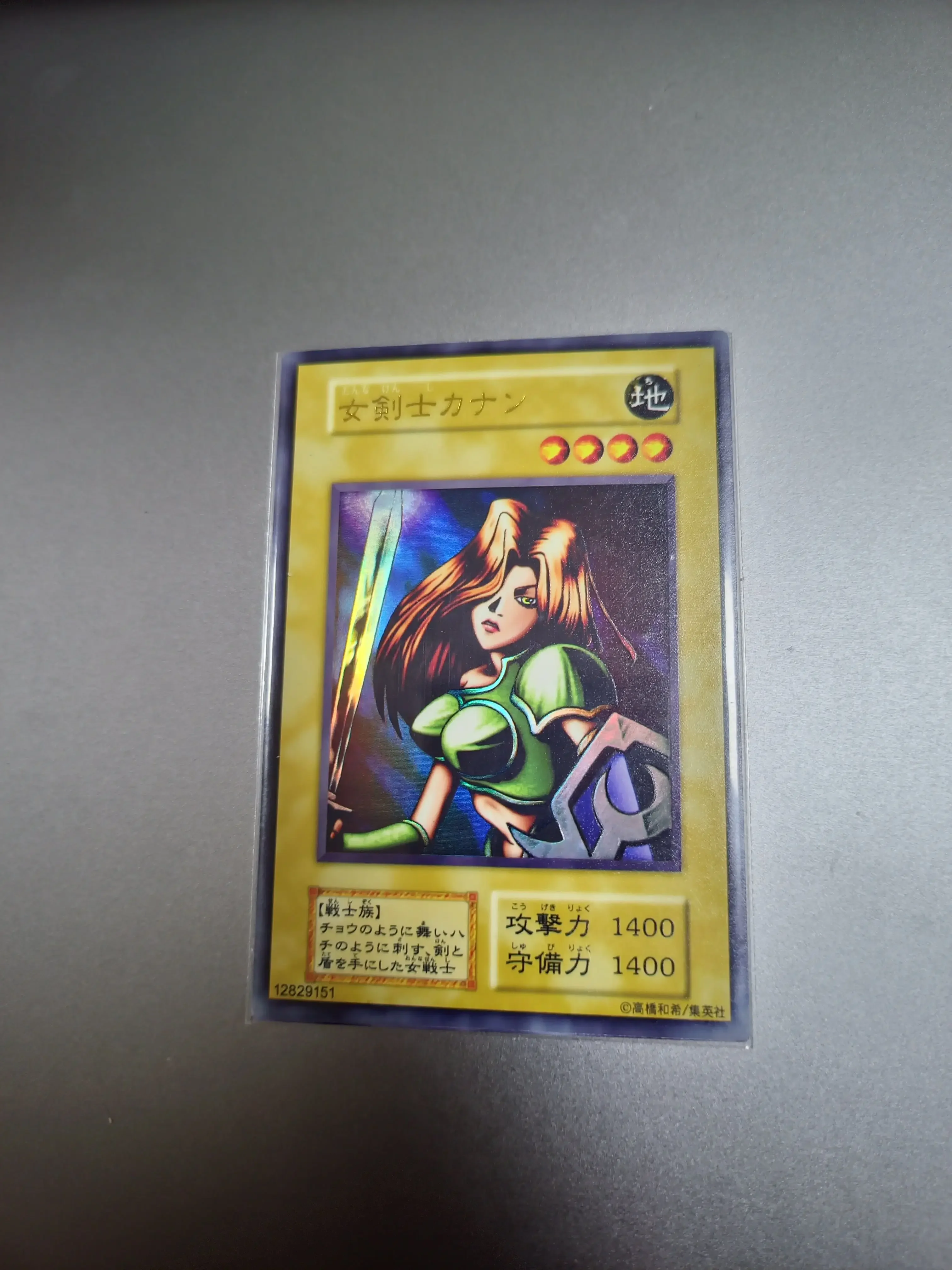 pcolle カルタ 長尺梯子 カルタLT-8.3