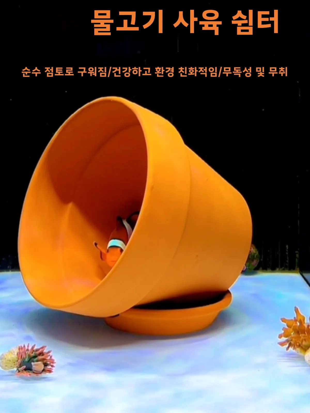 생 기관관 어항 조경용 어항 산호 어항 공공용 어항 산호 공공용 어항 조경용 어항 산호 공공용 어항