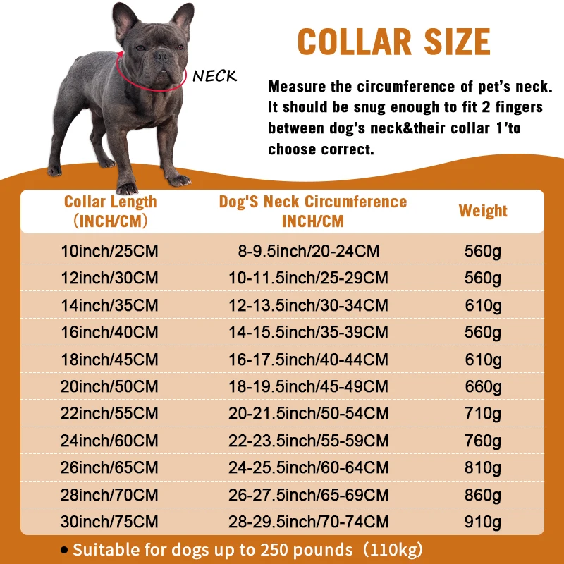 American Bully Xl Weight Chart Kg vrogue.co