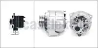 

ALTERNATOR 24V 80A LEY 24V 80A LEY