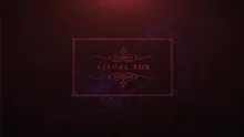 

2020 Visual Box by Smagic Productions Magic Instructions Magic trick