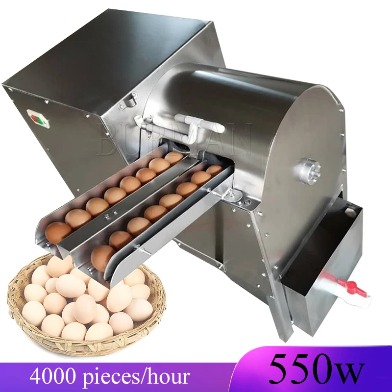 Automatic Chicken Goose Duck Eggs Cleaning Washing Machine Electric Farm  Equipment Egg Washer - AliExpress