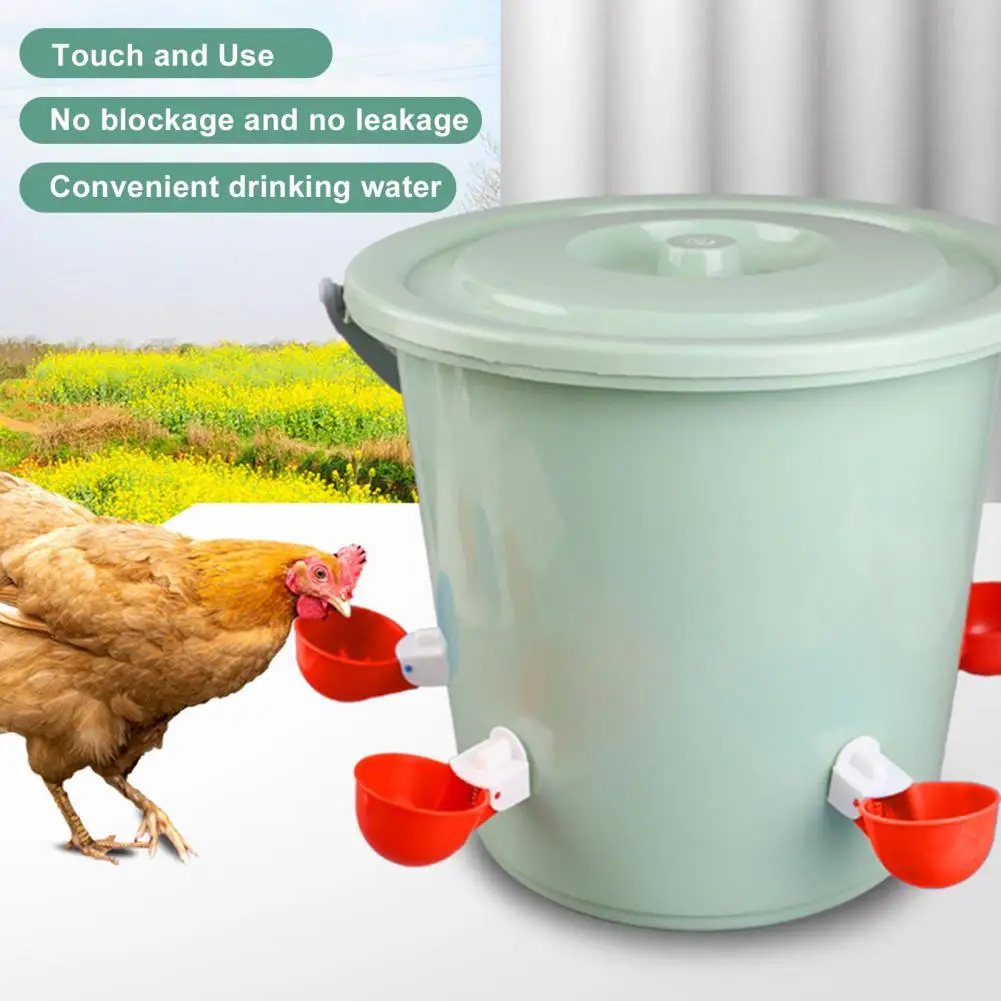 

1 Set Poultry Water Feeder Durable Bite-resistant Automatic Chicken Drinking Bowl for Ducks Chicks Bunnies Birds