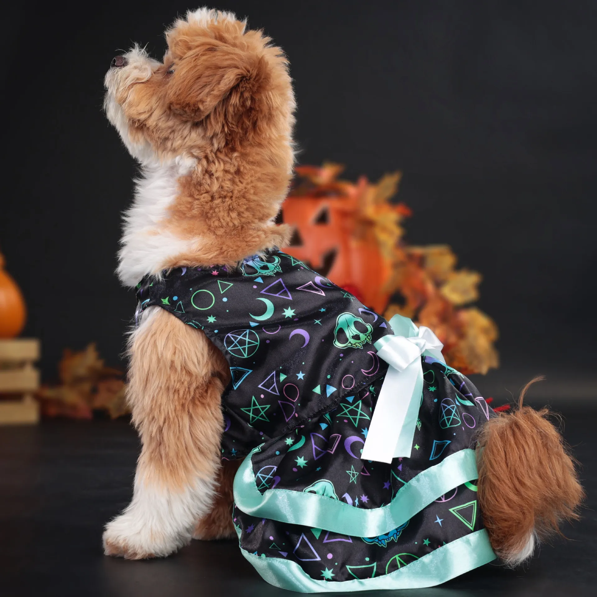 Robe Colorée Citrouille pour Chiens - 2025 - Doglovedesign : Vêtement et accessoires pour chiens