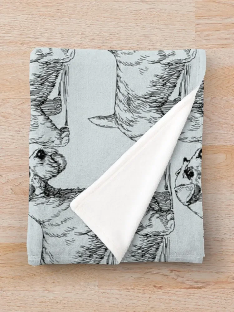 Sealyham ������ ���, ���� ħ�� ���� ���� �ε巯�� ���