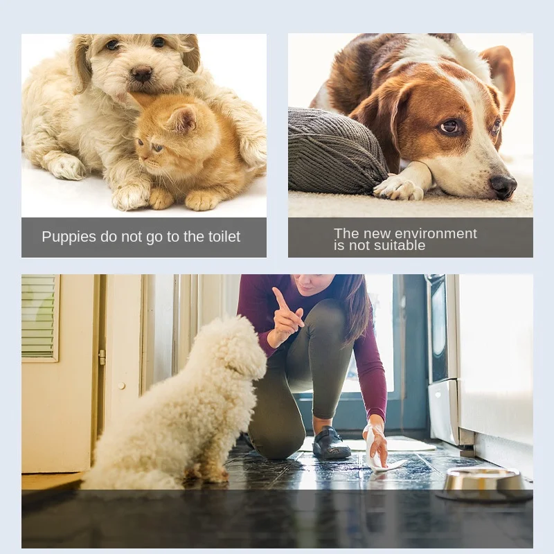 Pet Urine Inducer, Dog Toilet Defecation Inducer, Positioning Toilet Training Spray