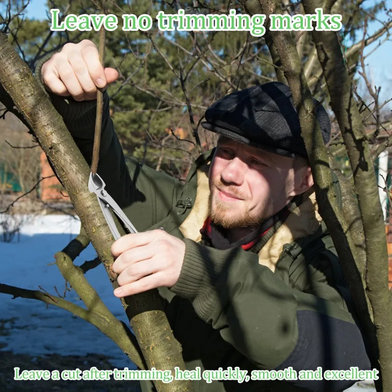 Practical Bonsai Beauty Set Stainless Steel Wear Resistant Bonsai Tree Set Tool Time Saving Trimming Set Ergonomic Long Handle