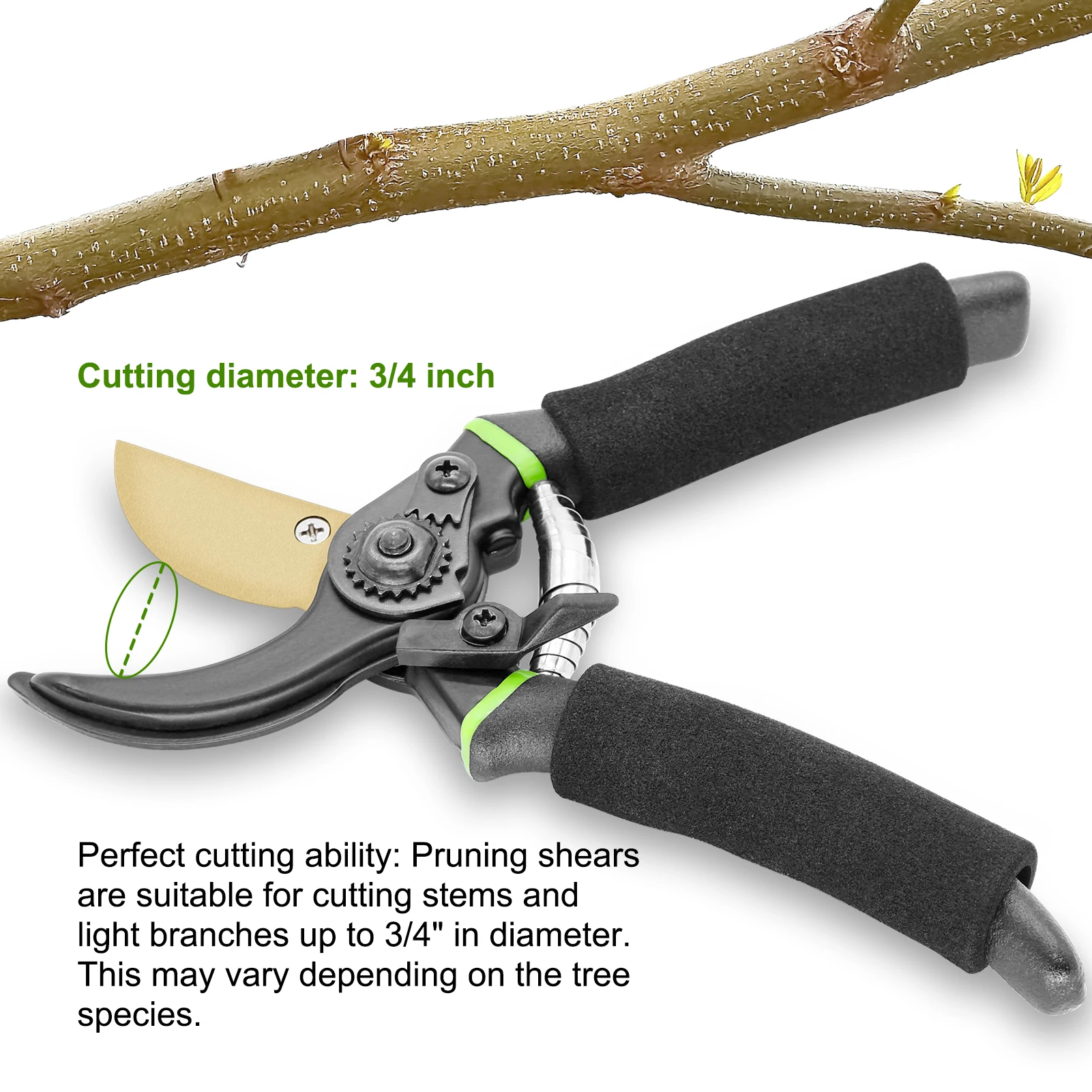 8 Titanium Bypass Pruning Shears - Reusables And More