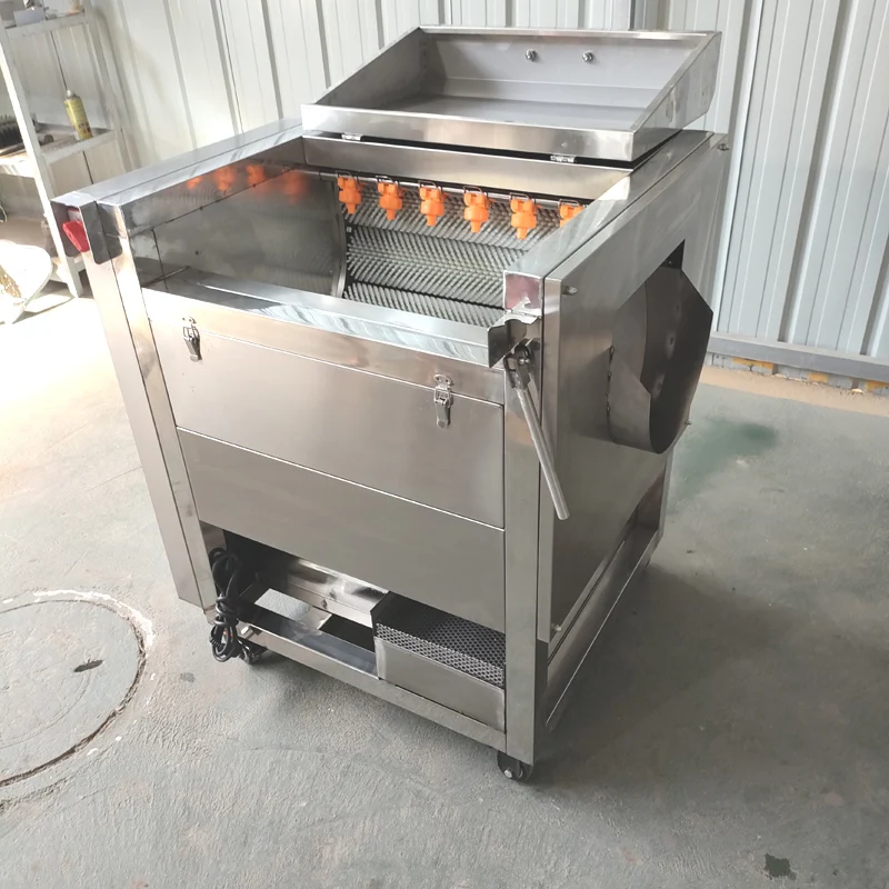 Brush Roller washing peeling cleaning carrot cassava potato turmeric ginger washing peeling machine 6