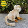 Squirrel Monkey Plush Toy High Fidelity Monkeys Plushie Saimiri Sciureus Peluche Lifelike Stuffed Animals Simulation Doll Toys 5
