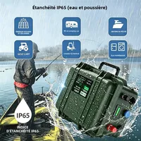 Batterie LiFePO4 12V 100Ah 200Ah 140Ah 24V LFP Portable USB PD 6000+ Cycles Bluetooth BMS pour Bateau Batterie Lithium 12.8V Stock UE 4