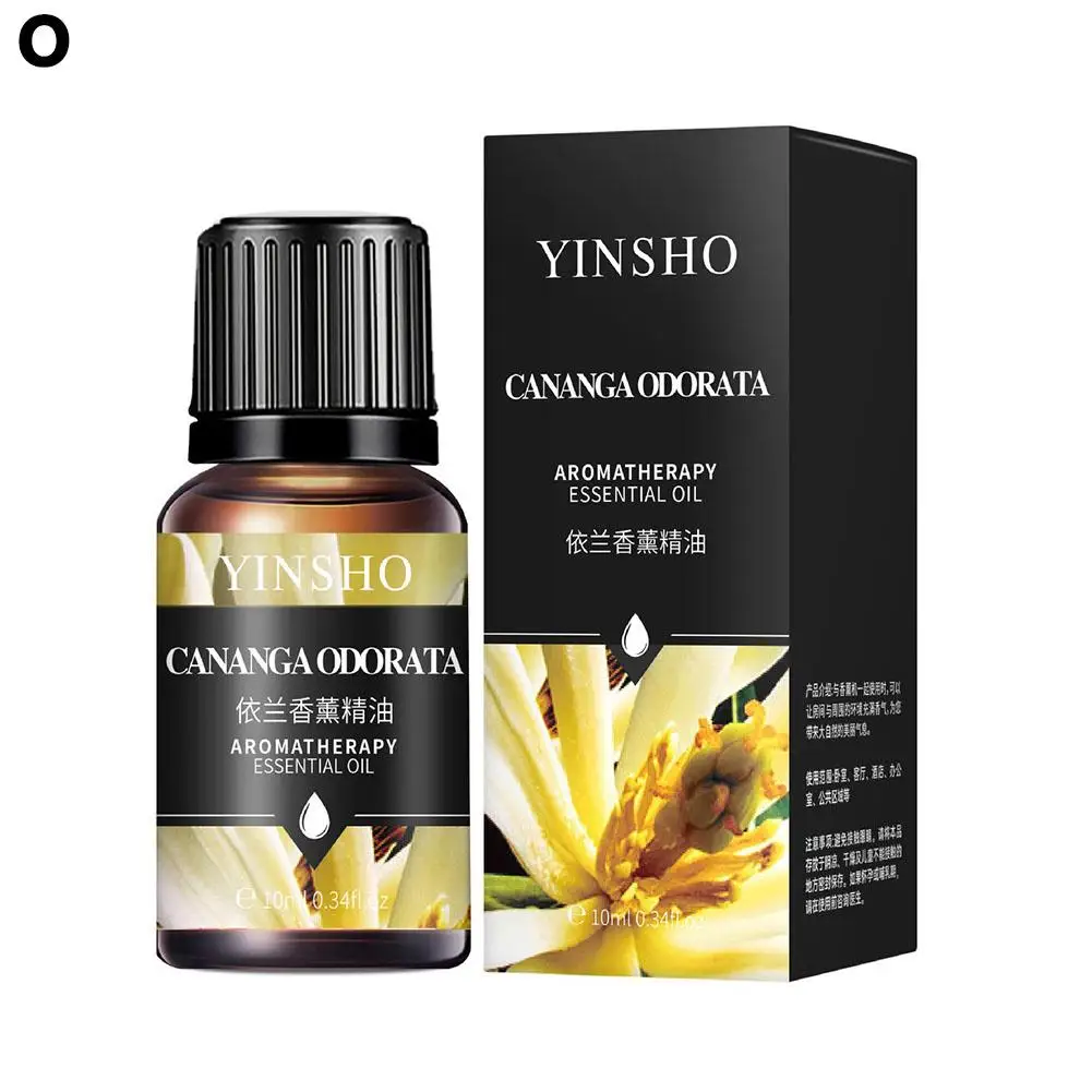 Aromatic Essential Oil Collection - 16 Fragrant Scents
