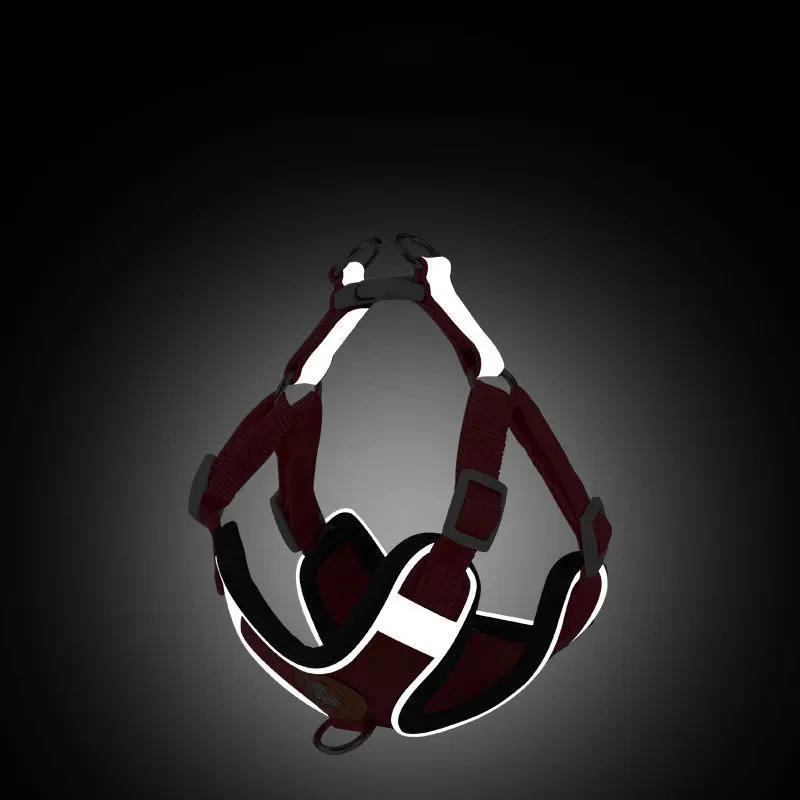 Dog Harness Set with Leash