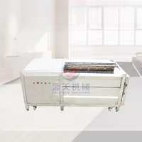 Energy saving the air bubble vegetable and fruit food washing machine leafy spring sweet potato tomato washing machine 1