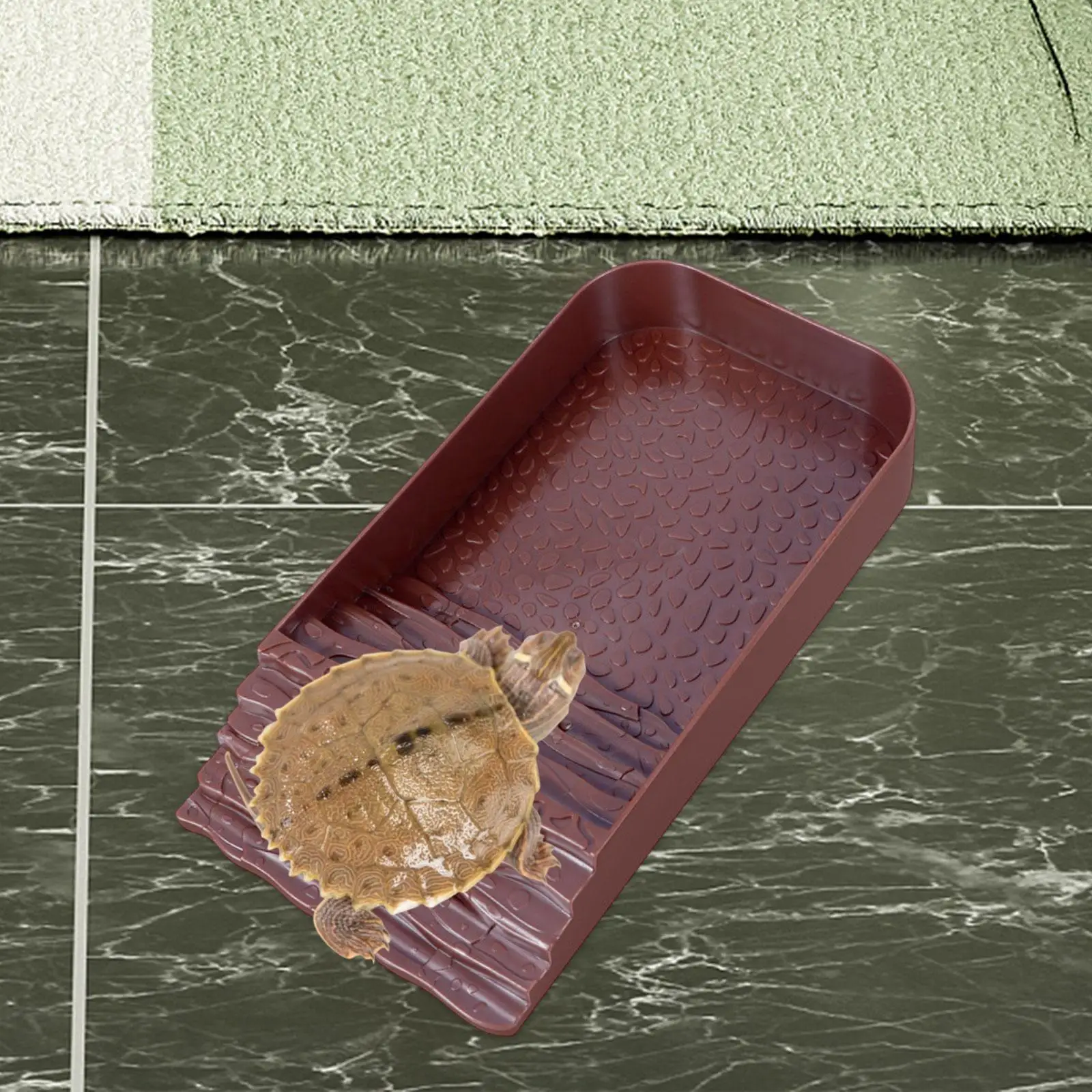 Reptile Water Bowl Accessories Reptile Pool for Tortoise Chameleon Scorpion