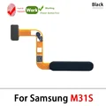 M31s Black