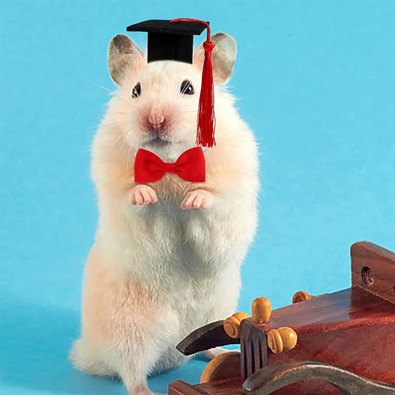 Hamster Guinea Pigs Graduation Caps Mini Bachelor Hats Bow Ties Bunny Necktie Hedgehog Small Animal Caps Costume Accessory